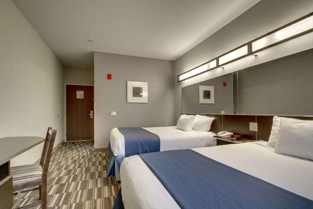 Microtel Inn & Suites Tuscaloosa Near University - photo 4