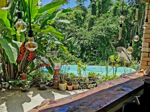Gruta do Pavão in Paraty, Brasil