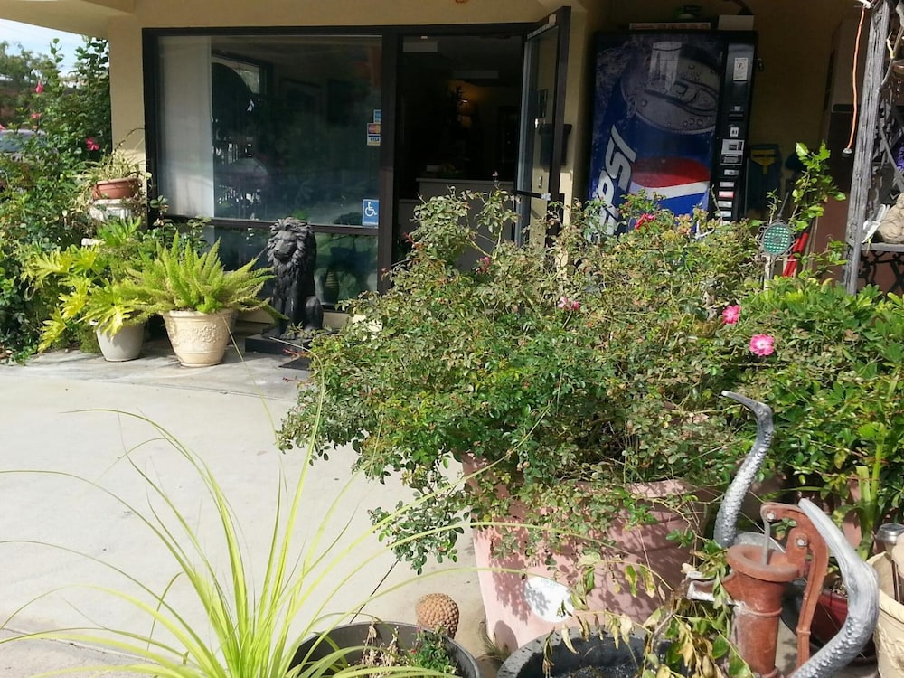 Colusa Riverside Inn - photo 12