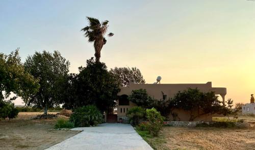 Kamara Apartments Marmari — 4-Star Luxury Hotel in Marmarion, Greece