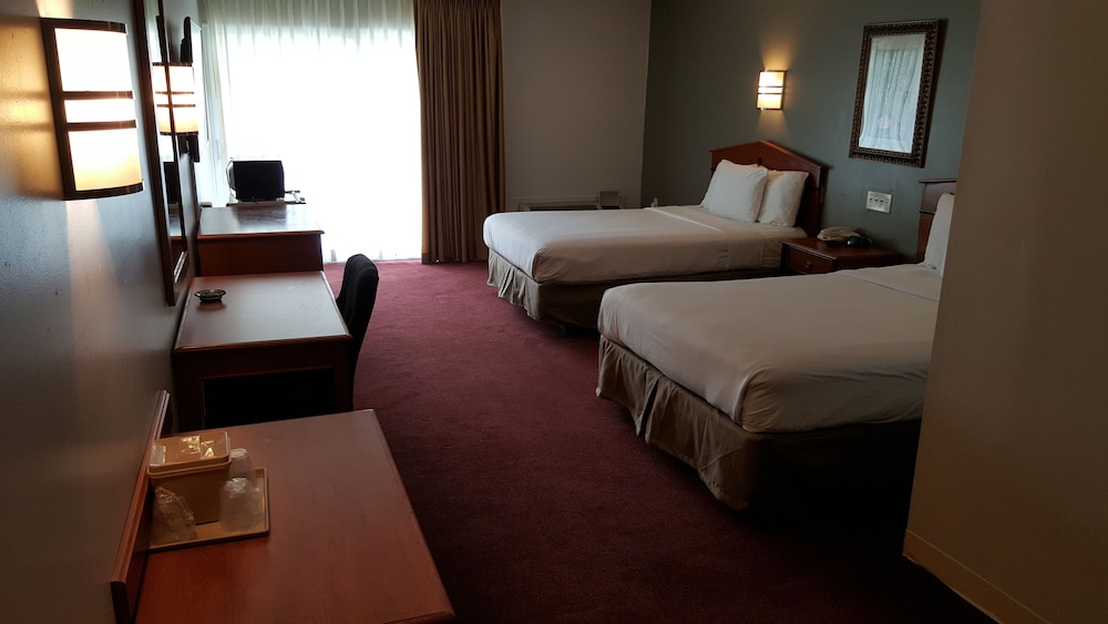 Crystal Inn Neptune - photo 5