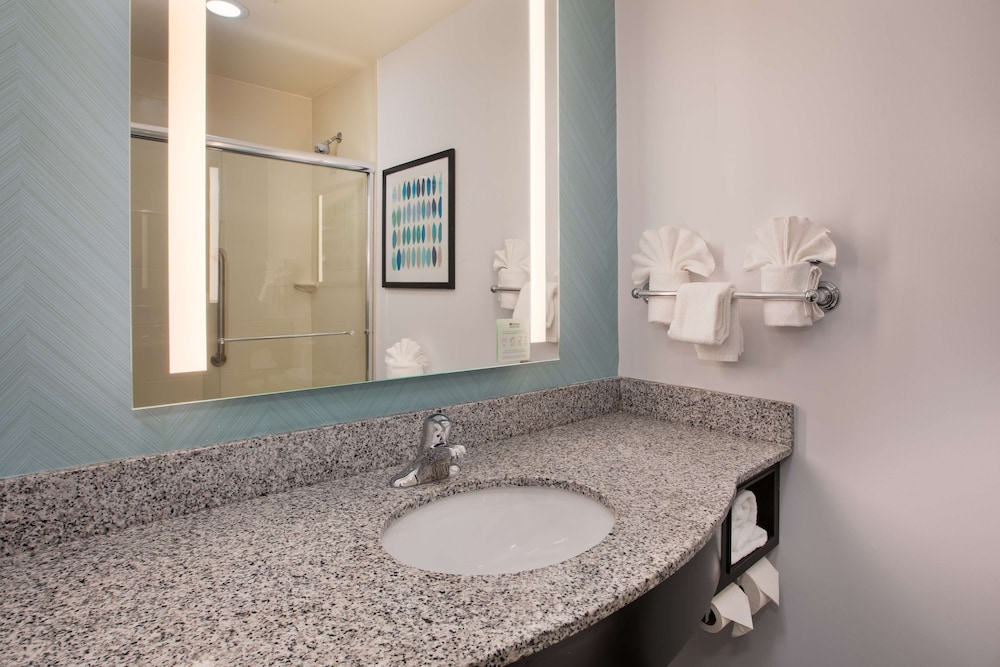 Hilton Garden Inn Benton Harbor St. Joseph - photo 23