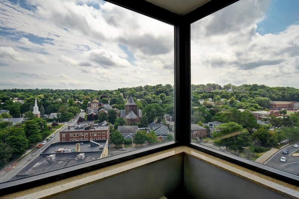 Four Points by Sheraton Boston Newton - photo 6