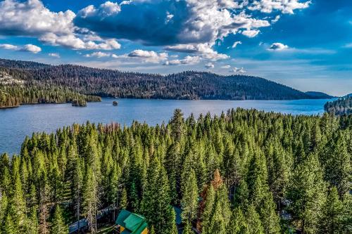 Lake Therapy — Lakeshore — photo 3