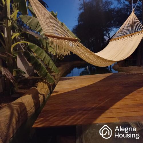 202 Arje Suites Campestre by Alegría Housing — Las Pilas — photo 2