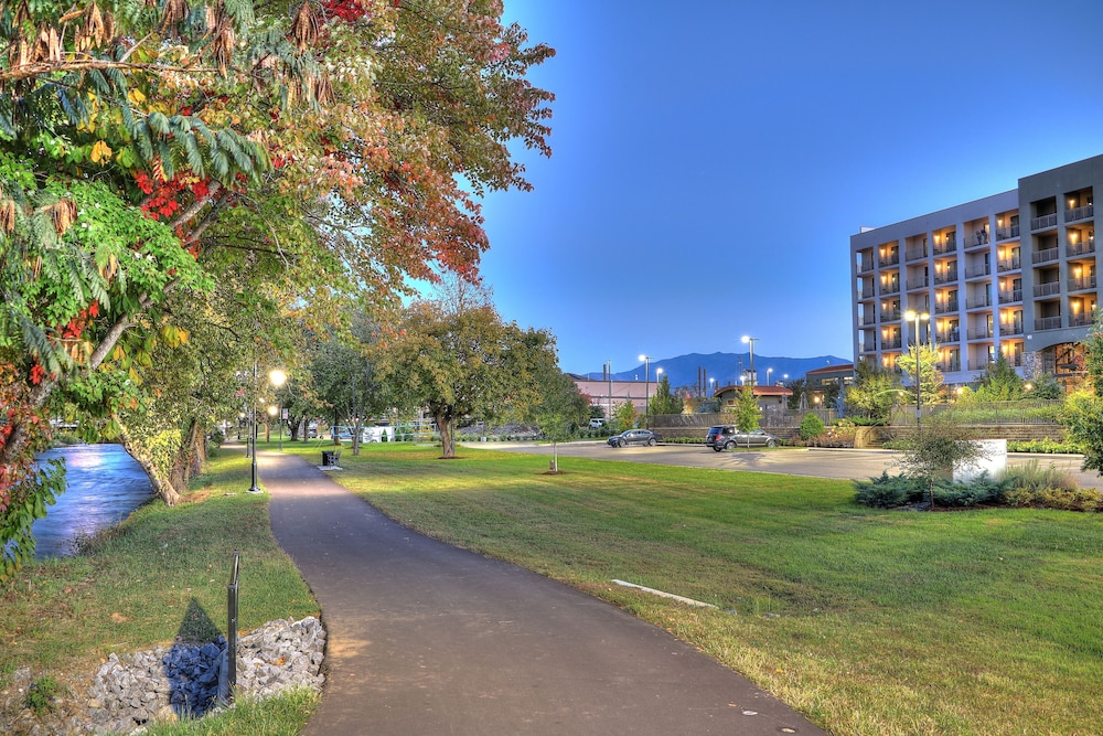 Courtyard by Marriott Pigeon Forge - photo 157