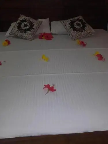 Kavee Guest — 4-Star Luxury Hotel in Bentota, Sri Lanka