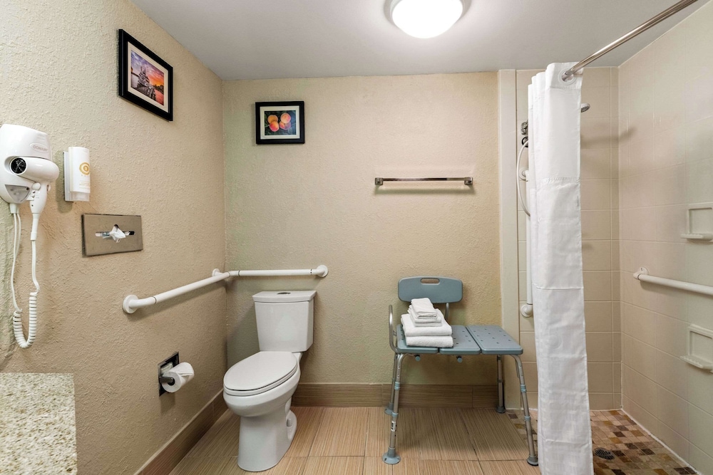Comfort Inn Roswell Dunwoody - photo 21