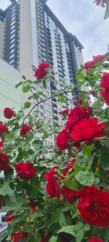 Viktory 5 B Apartments Kyiv — 4-Star Luxury Hotel in Kyiv, Ukraine