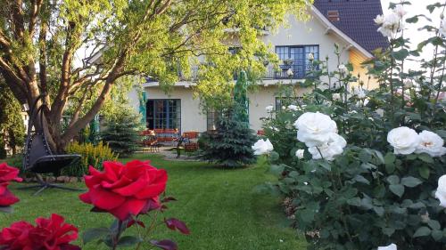 Villa Westfalia Boutique Villa & SPA Adult Only` — 4-Star Luxury Hotel in Targu Secuiesc, Romania