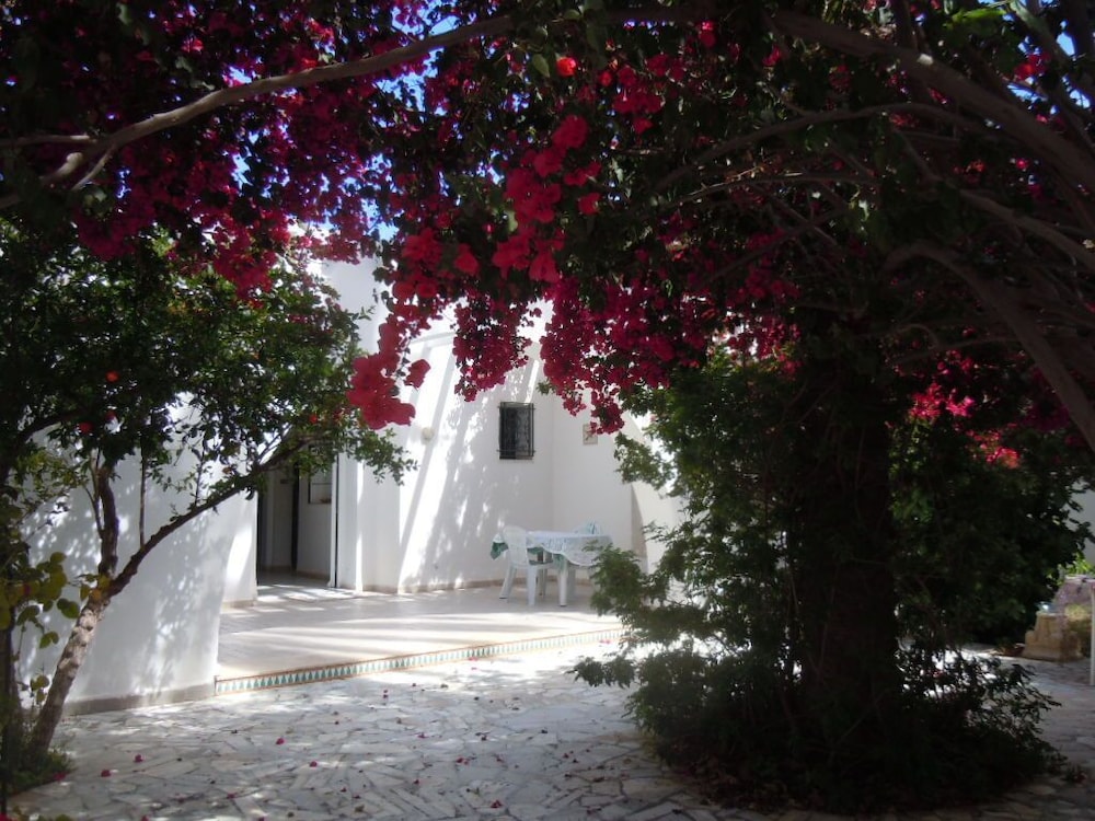 House with Garden Wala — 4-Star Luxury Hotel in Mahdia, Tunisia