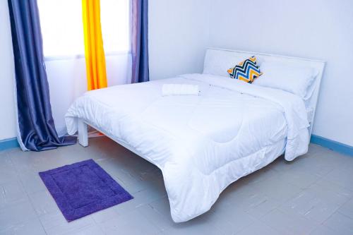 Homely Homestays