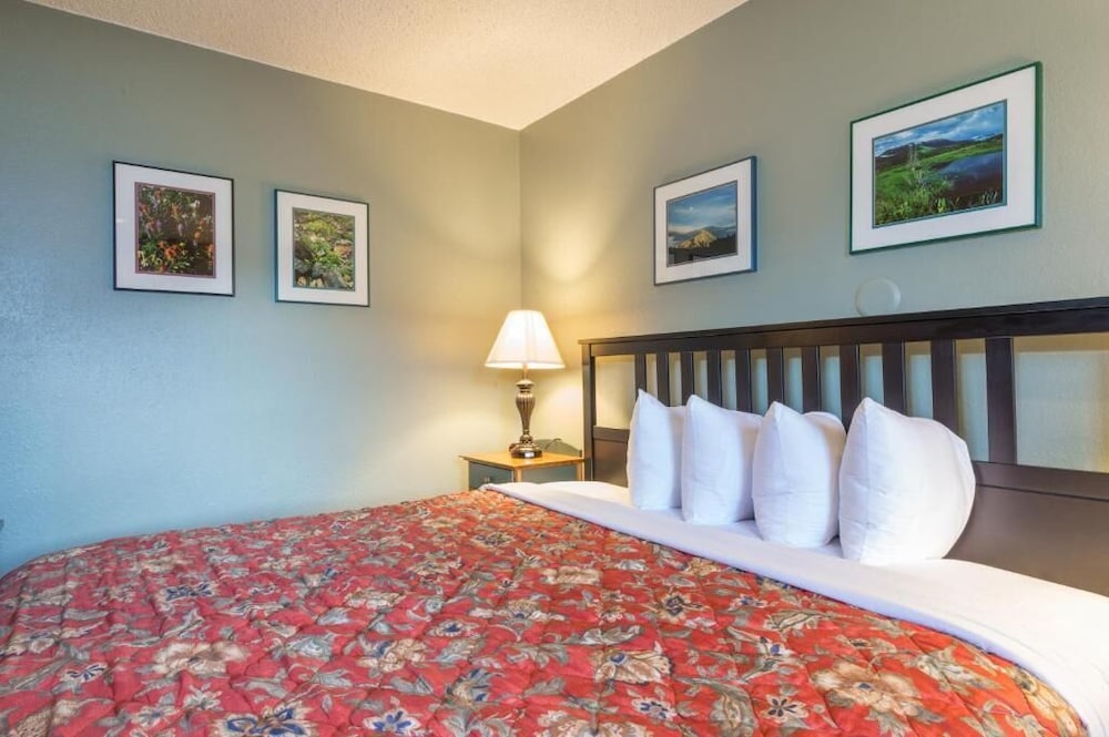 Old Town Inn Colorado - photo 4