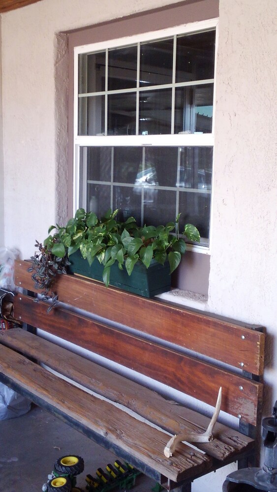 Whitten Inn - photo 17