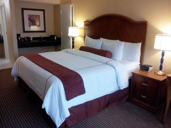 Maingate Kissimmee Hotel - photo 15