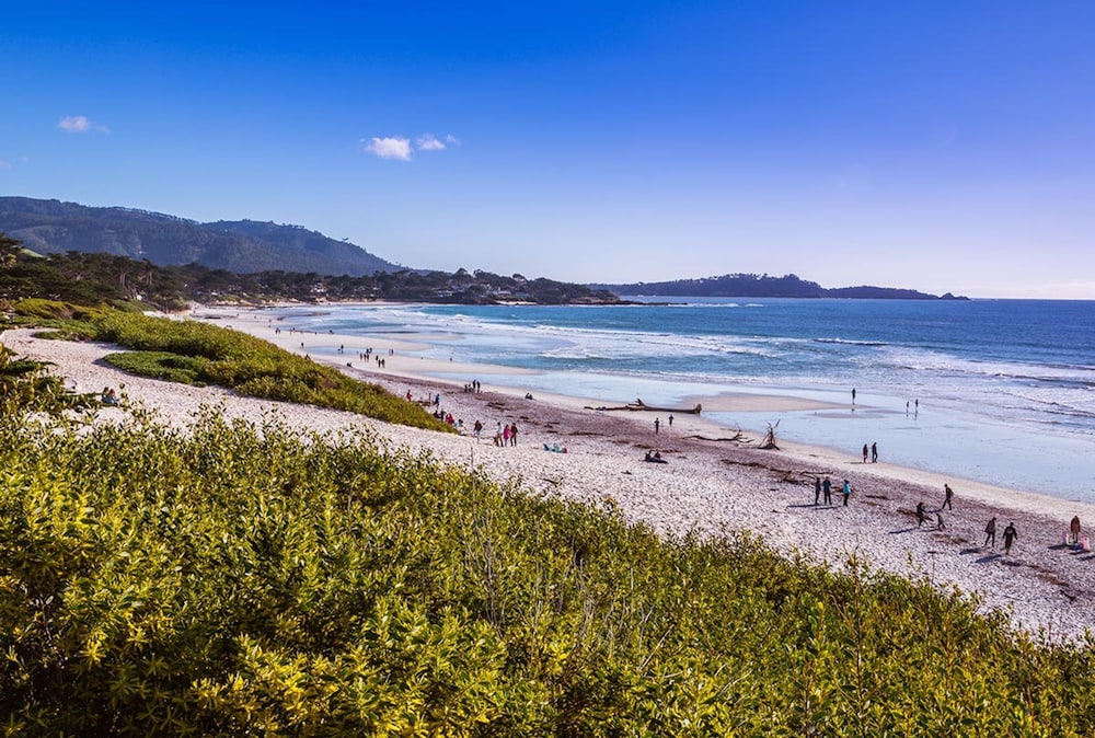 Tradewinds Carmel - photo 33