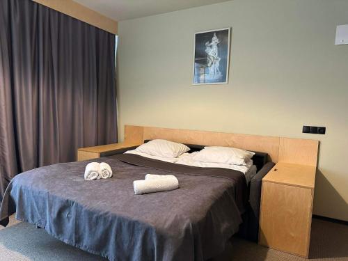 One Room Apartment in Rooms Hotel Kokhta Bakuriani in Bakuriani, Georgia