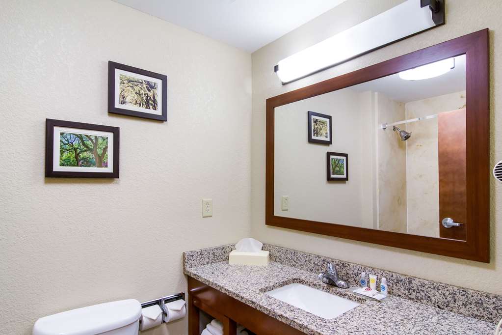 Comfort Inn Blackshear Hwy 84 - photo 22