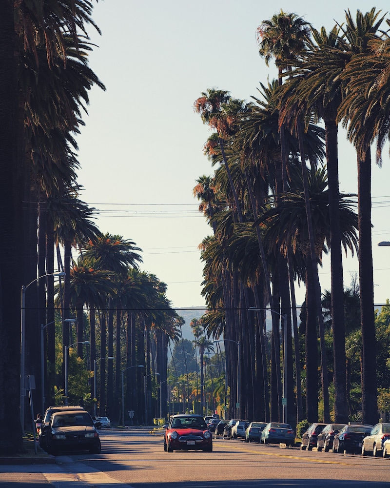 Loews Hollywood Hotel - photo 86