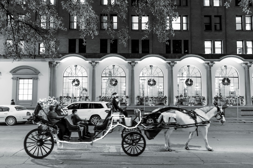 The St. Anthony A Luxury Collection Hotel San Antonio - photo 192
