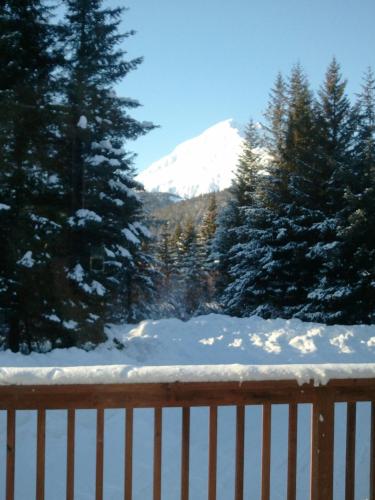 Glacier Creek Lodging - photo 10