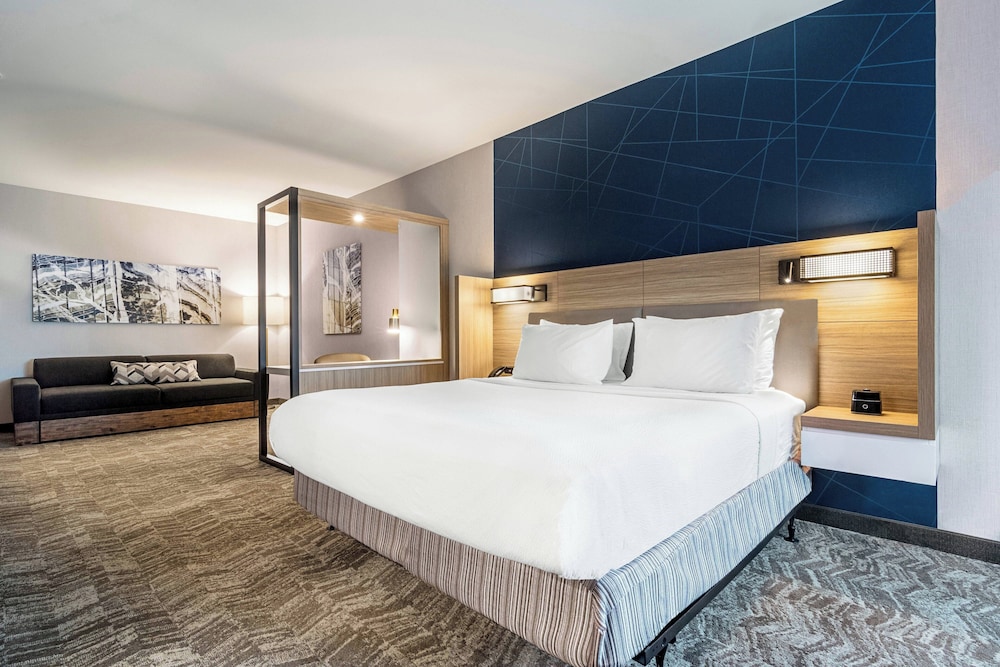 SpringHill Suites by Marriott Charleston Airport & Convention Center - photo 30