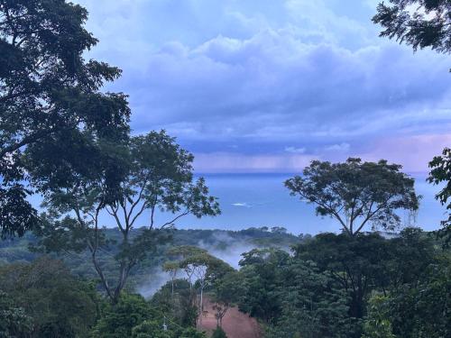 Jungle paradise — Unknown City — photo 4