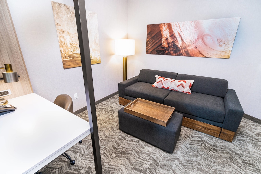 SpringHill Suites by Marriott Ontario Airport Rancho Cucamonga - photo 8