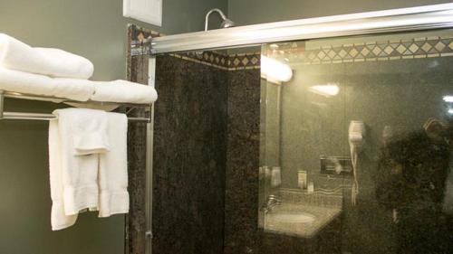 SureStay Plus Hotel by Best Western St. Louis Airport - photo 5