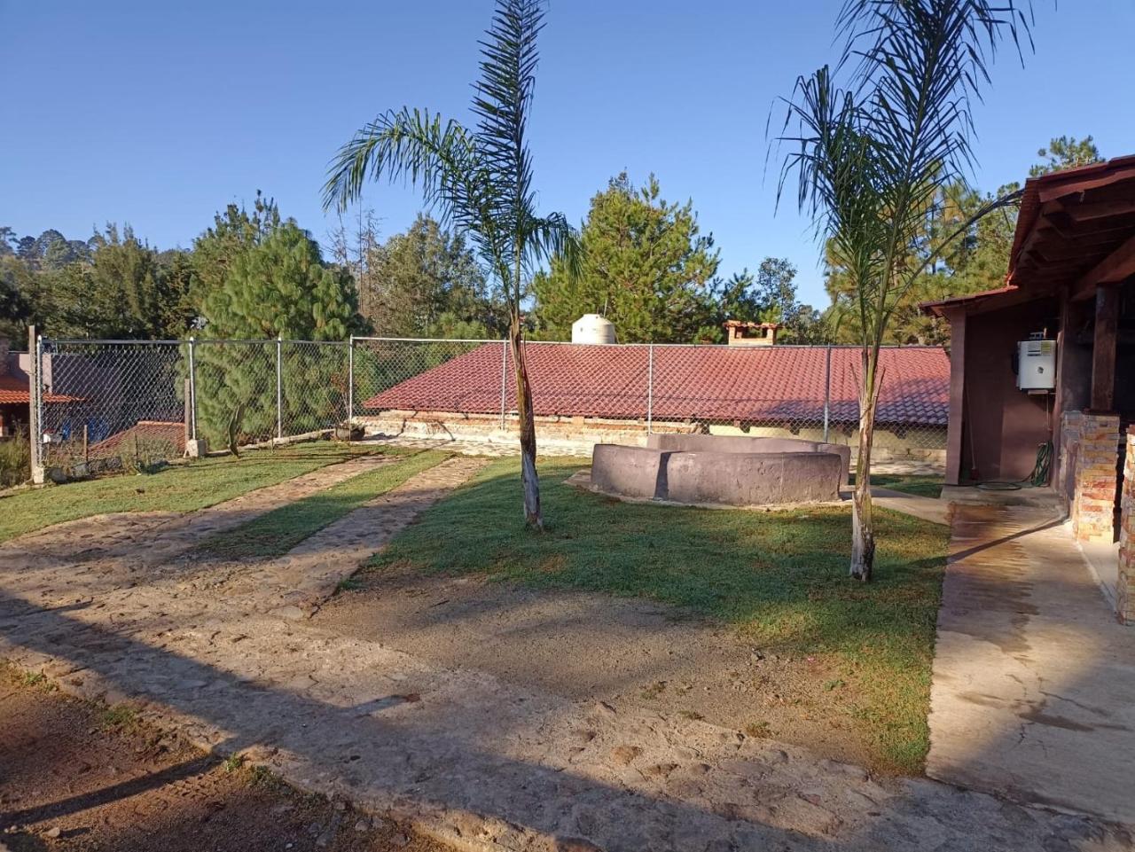 Lucero — Mazamitla — photo 3