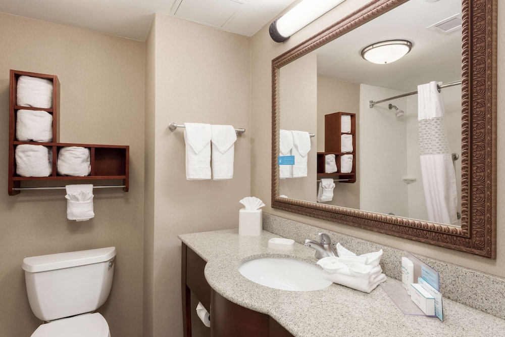 Hampton Inn Branson Branson Hills - photo 21