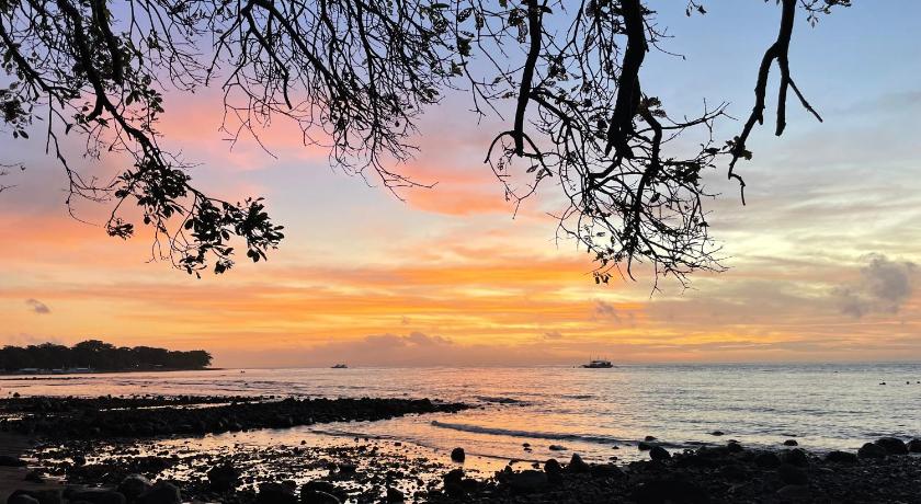 E Fun Dive Resort in Dauin, Philippines