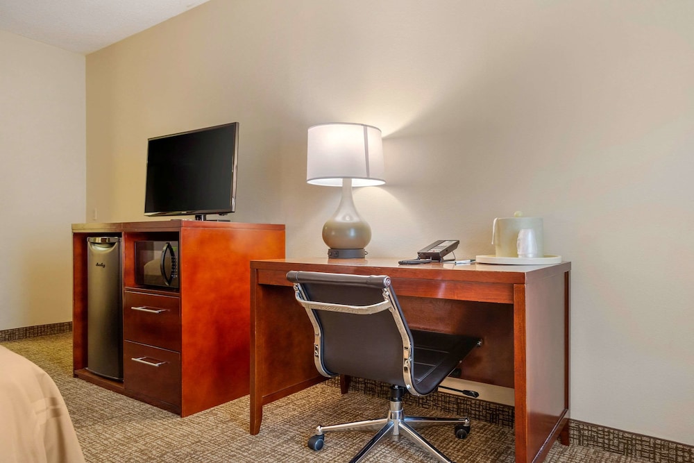 Quality Inn & Suites Olde Town - photo 19