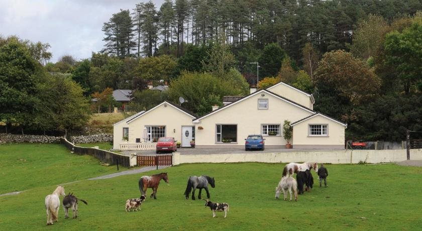 Muckross Riding Stables in Cill Airne, Republic of Ireland
