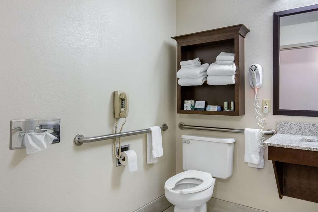 Quality Inn & Suites Mountain Home North - photo 26