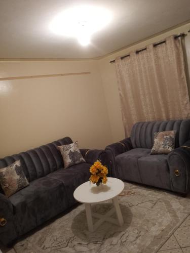 One bedroom fully furnished Airbnb in south b