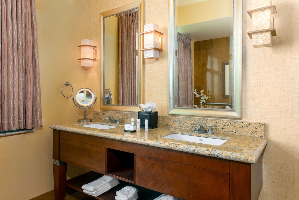 Embassy Suites Omaha La Vista Hotel & Conference Center - photo 30