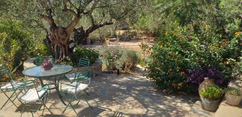 Kavoulakos Studios — Skoutari — photo 4