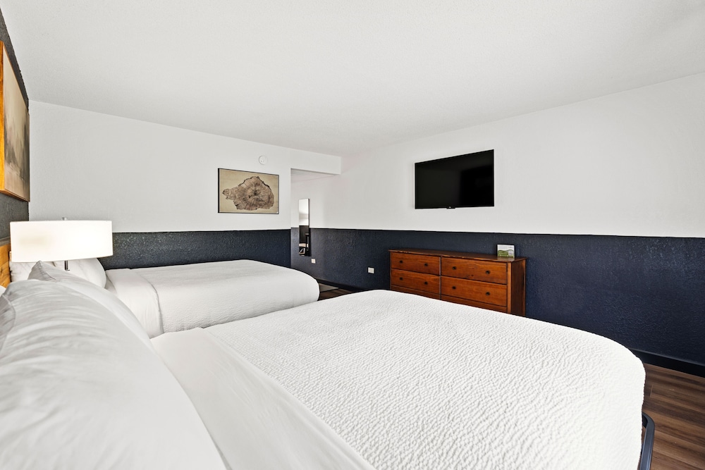 Tremont Lodge & Resort - photo 138