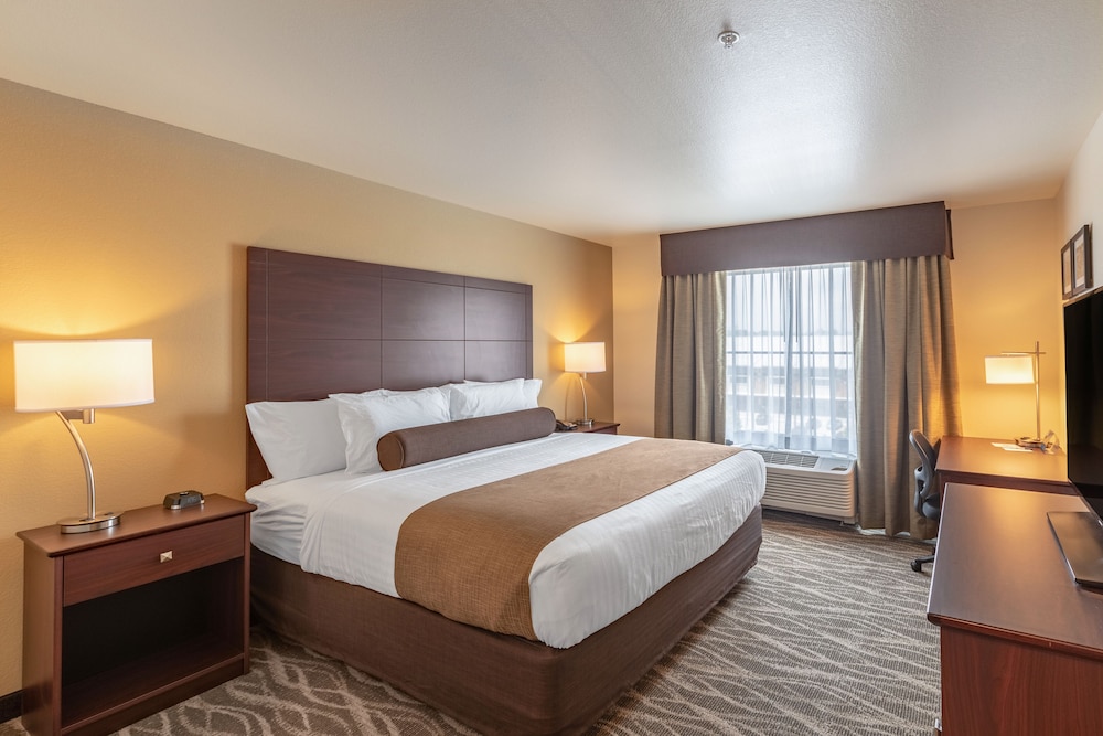 Cobblestone Hotel and Suites Janesville - photo 23