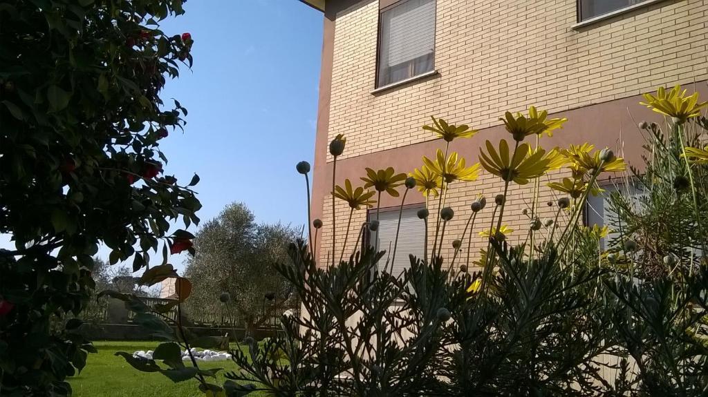 B&B Casa Degli Ulivi — 4-Star Luxury Hotel in Nettuno, Italy