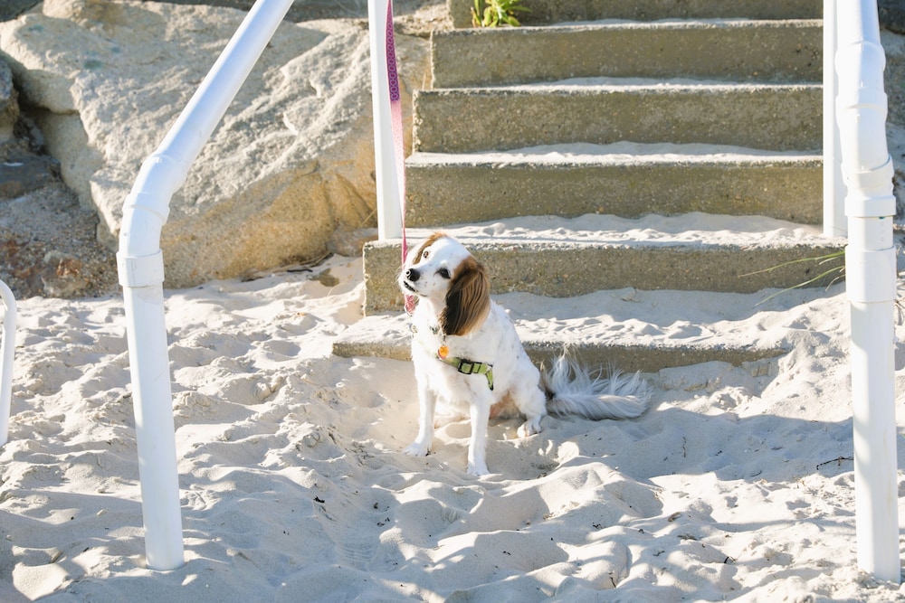 Sea Shell Motel - photo 151