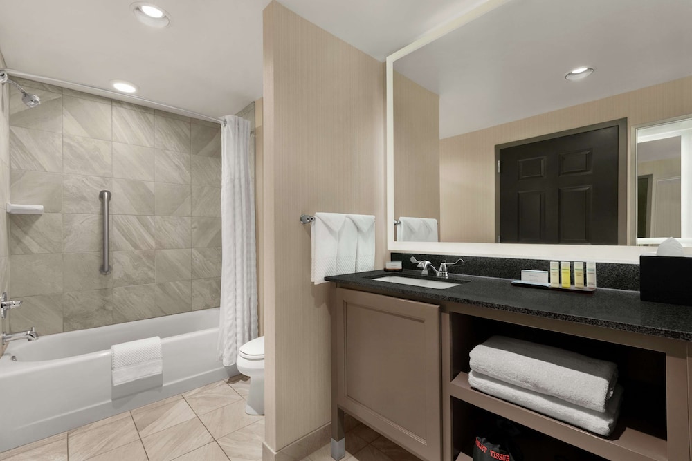Embassy Suites by Hilton Charlotte Ayrsley - photo 14