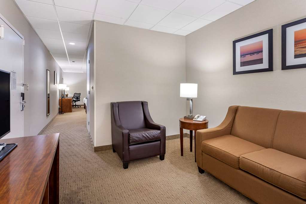 Comfort Inn Syosset Long Island - photo 27