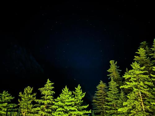 Byway Kasol - last minute hotel in Unknown City