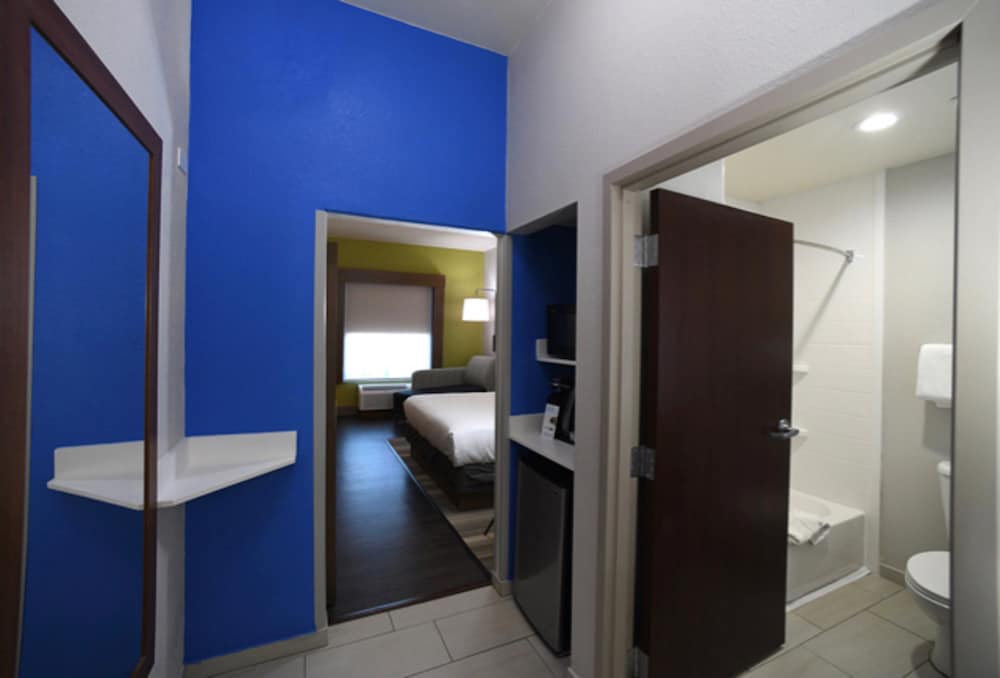 Holiday Inn Express Hotel & Suites Seguin by IHG - photo 17