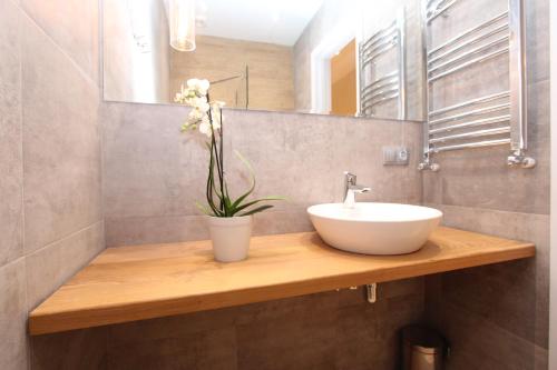 New apartment in Old Tbilisi