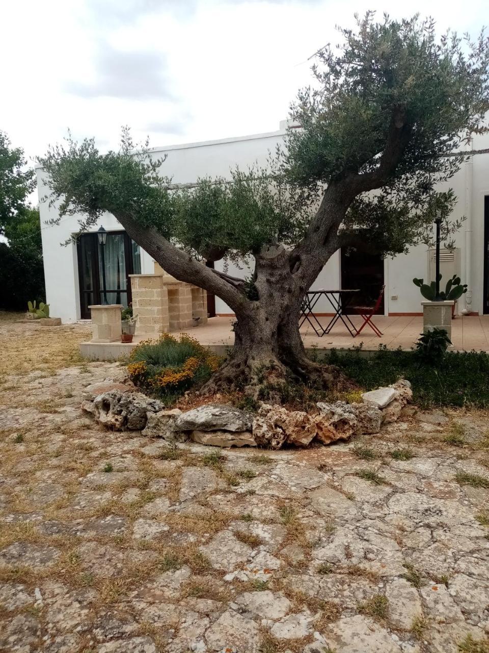 masseria chianca Le Gravine — hotel in Mottola