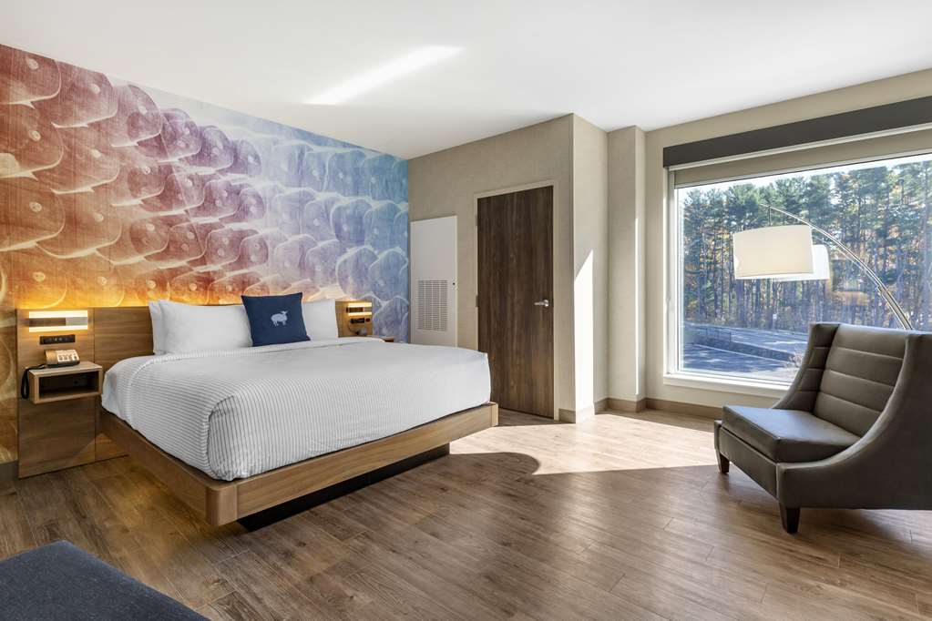 Cambria Hotel Manchester South Windsor - photo 21