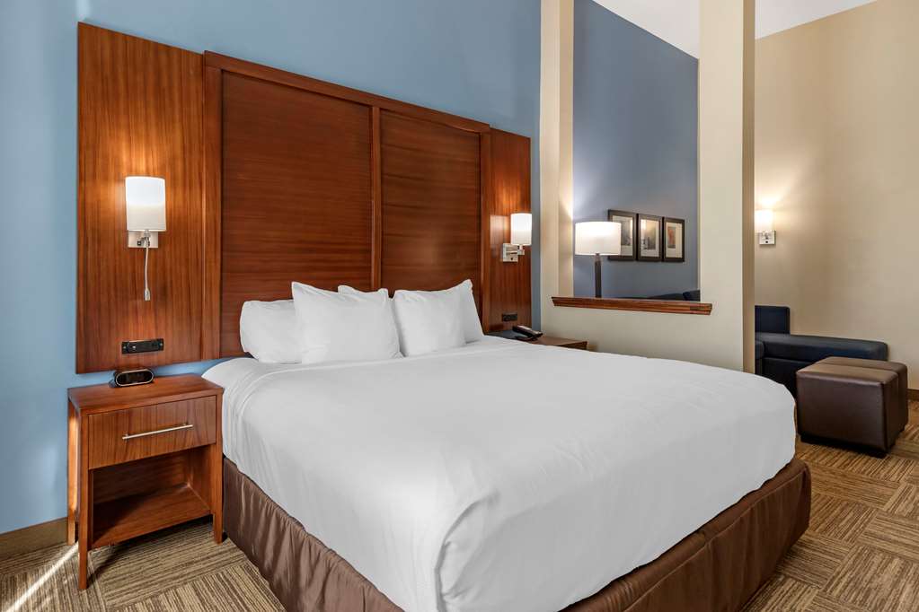 Comfort Suites Cedar Park Austin Northwest - photo 9